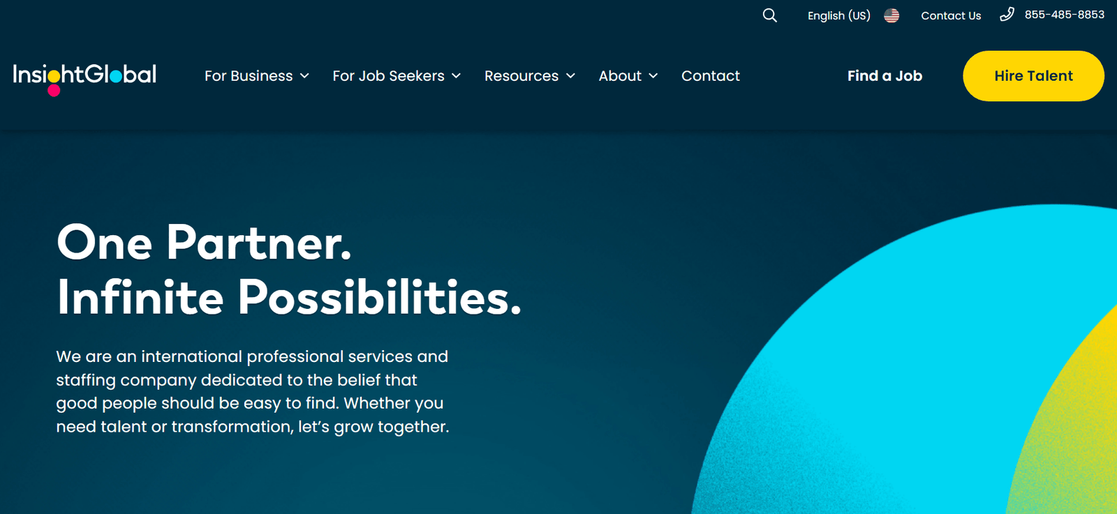 Insight Global